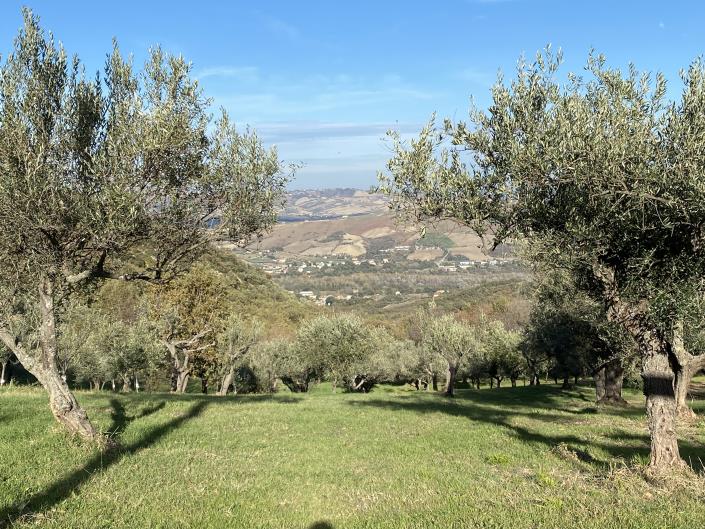 Image No.4-3 Bed House/Villa for sale