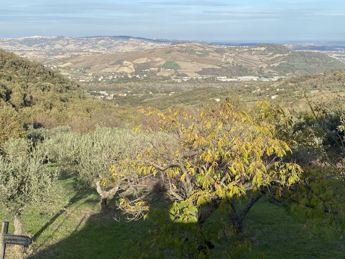 Image No.18-3 Bed House/Villa for sale