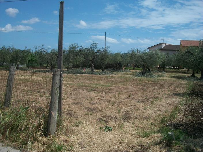 Image No.9-Land for sale