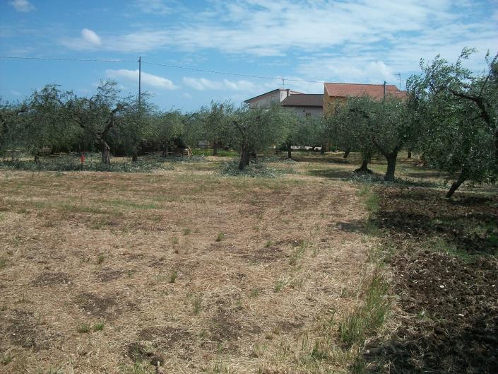 Image No.12-Land for sale