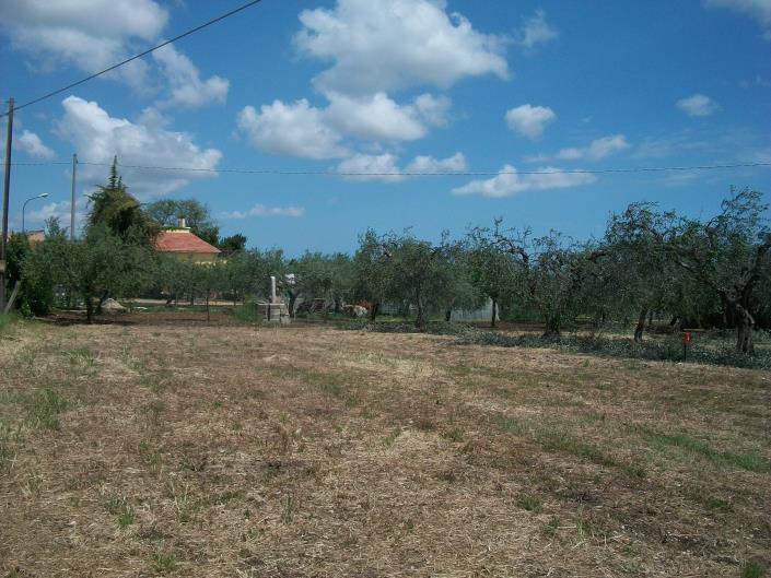 Image No.1-Land for sale