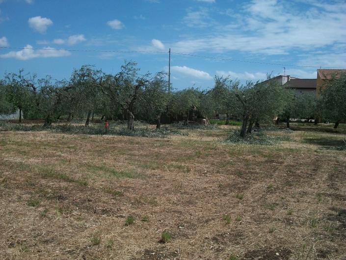 Image No.14-Land for sale