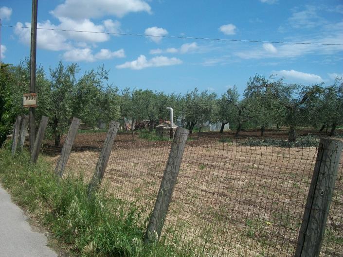 Image No.15-Land for sale