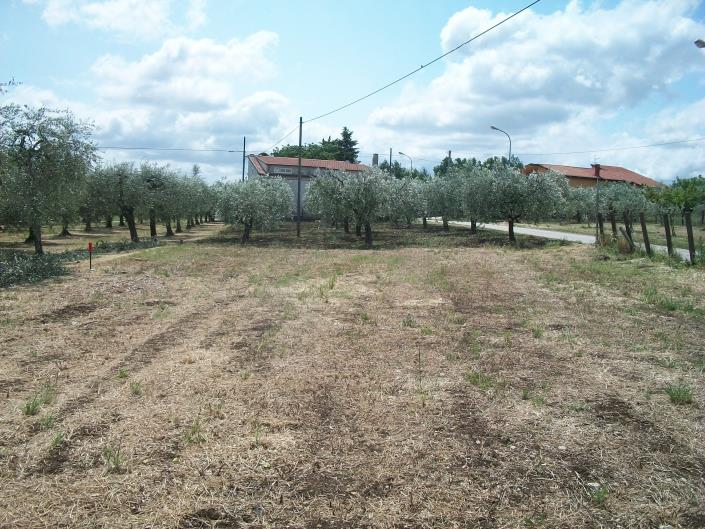 Image No.11-Land for sale