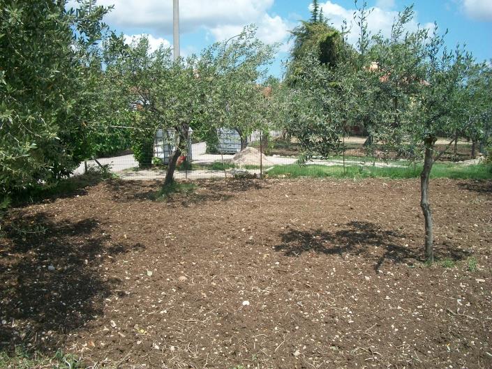 Image No.17-Land for sale