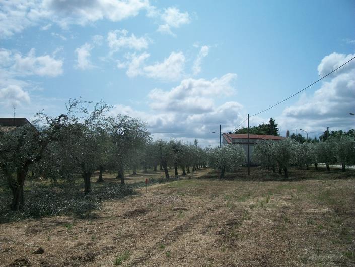 Image No.19-Land for sale