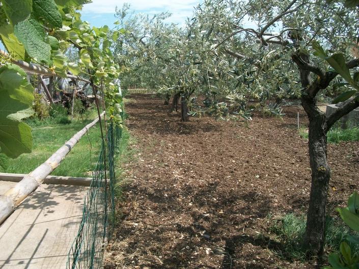 Image No.18-Land for sale