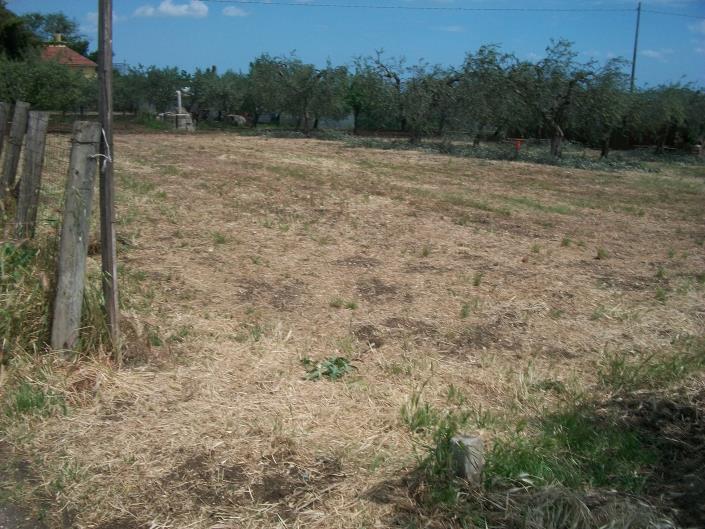 Image No.20-Land for sale