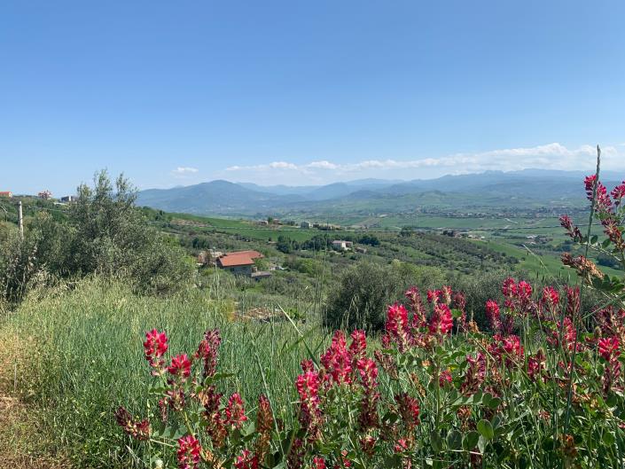 Image No.23-5 Bed Villa / Detached for sale