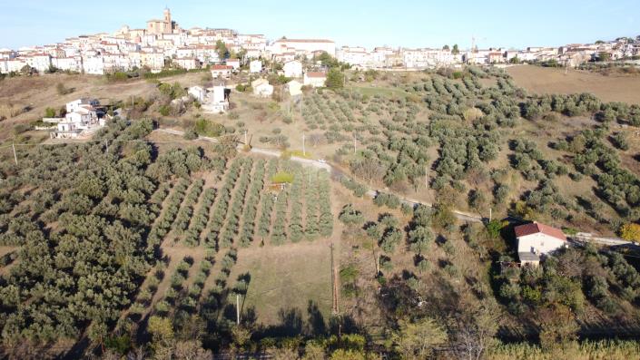 Image No.3-5 Bed Villa / Detached for sale