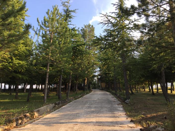 Image No.3-Maison / Villa de 3 chambres à vendre à Torricella Peligna