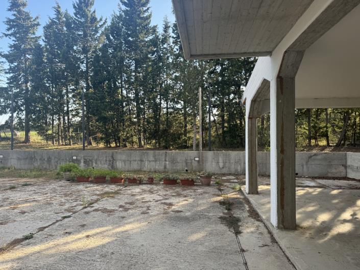 Image No.43-Maison / Villa de 3 chambres à vendre à Torricella Peligna