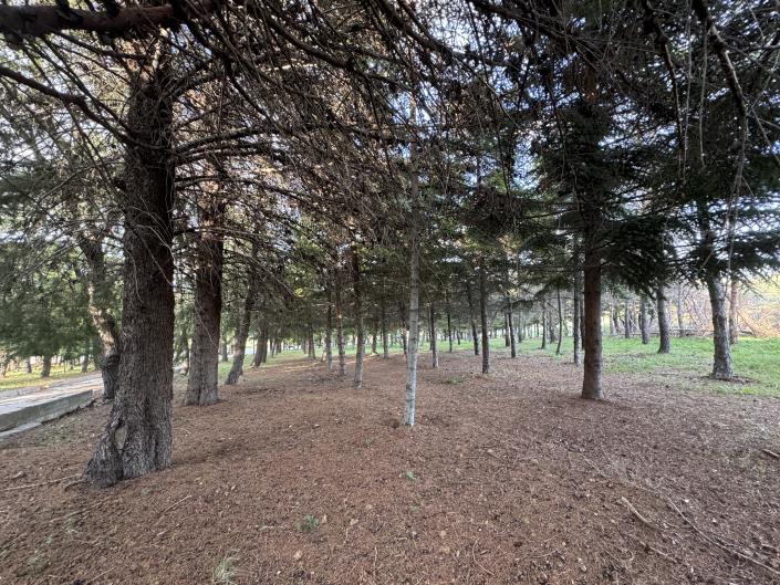 Image No.50-Maison / Villa de 3 chambres à vendre à Torricella Peligna