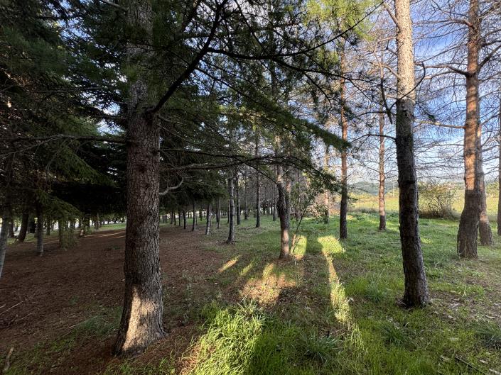 Image No.54-Maison / Villa de 3 chambres à vendre à Torricella Peligna