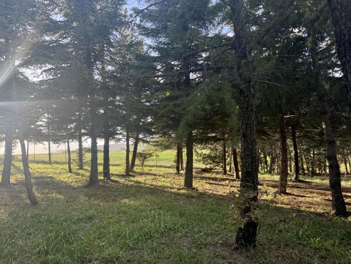 Image No.57-Maison / Villa de 3 chambres à vendre à Torricella Peligna