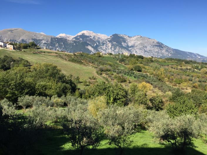 Image No.2-1 Bed Apartment for sale