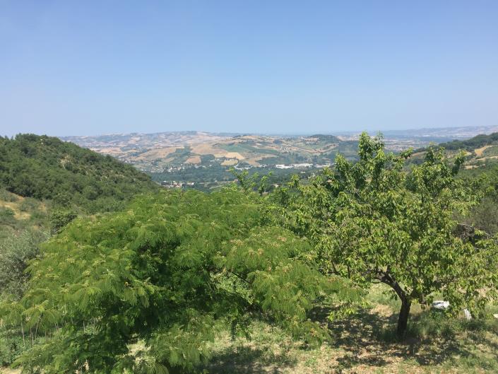 Image No.22-3 Bed Farmhouse for sale