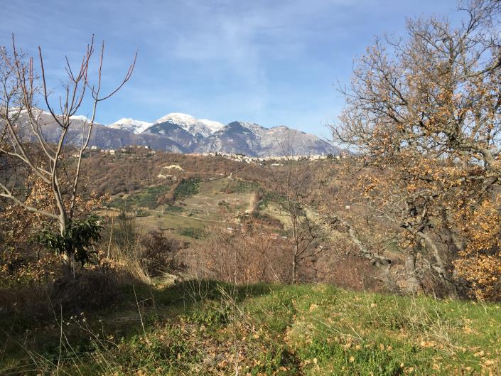 Image No.3-House for sale