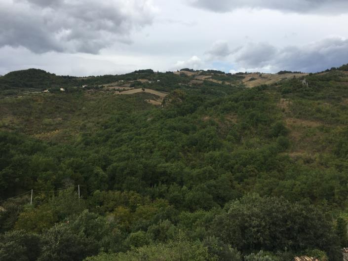 Image No.35-1 Bed Village House for sale