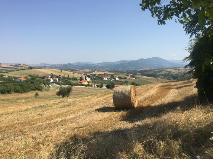 Image No.18-Ferme à vendre à Sant' Eusanio Del Sangro