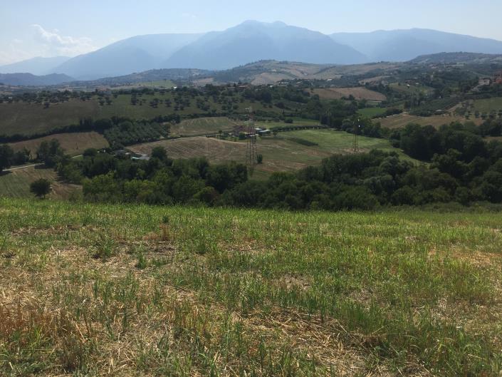Image No.21-Ferme à vendre à Sant' Eusanio Del Sangro