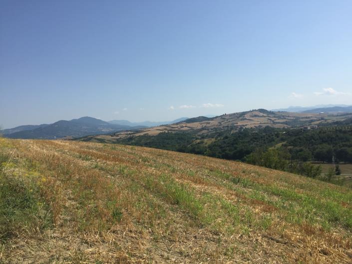 Image No.19-Ferme à vendre à Sant' Eusanio Del Sangro