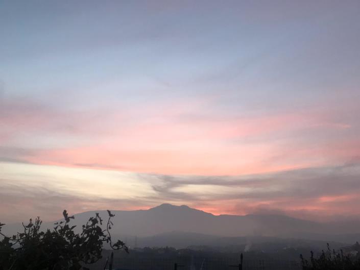 Image No.26-Ferme à vendre à Sant' Eusanio Del Sangro