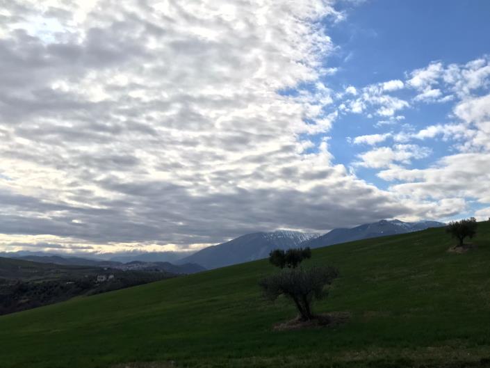 Image No.25-Ferme à vendre à Sant' Eusanio Del Sangro