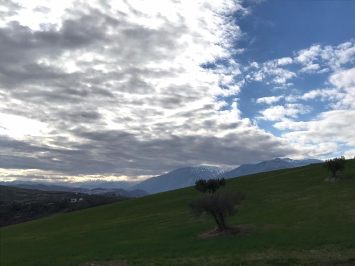 Image No.23-Ferme à vendre à Sant' Eusanio Del Sangro