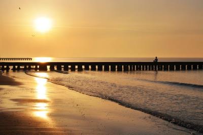 shutterstock_117782386