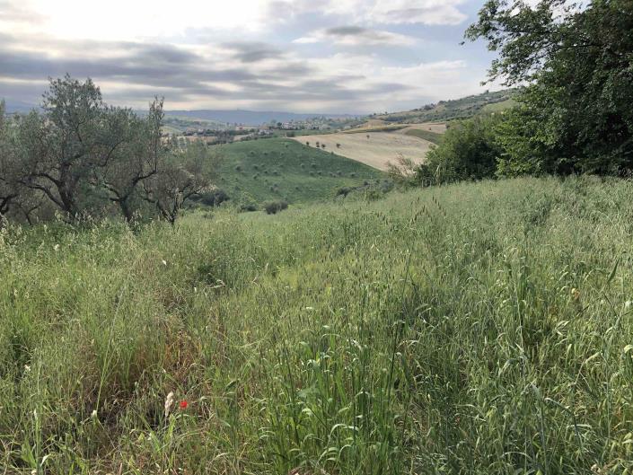 Image No.45-1 Bed Farmhouse for sale