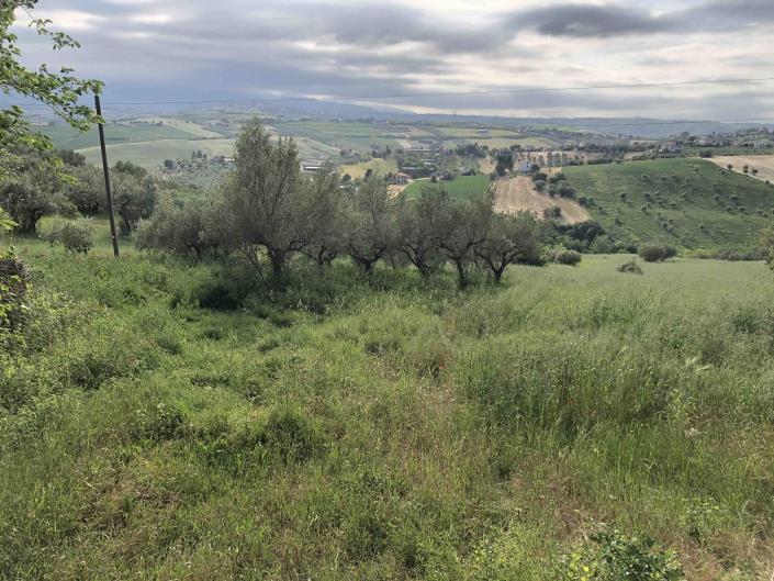 Image No.50-1 Bed Farmhouse for sale