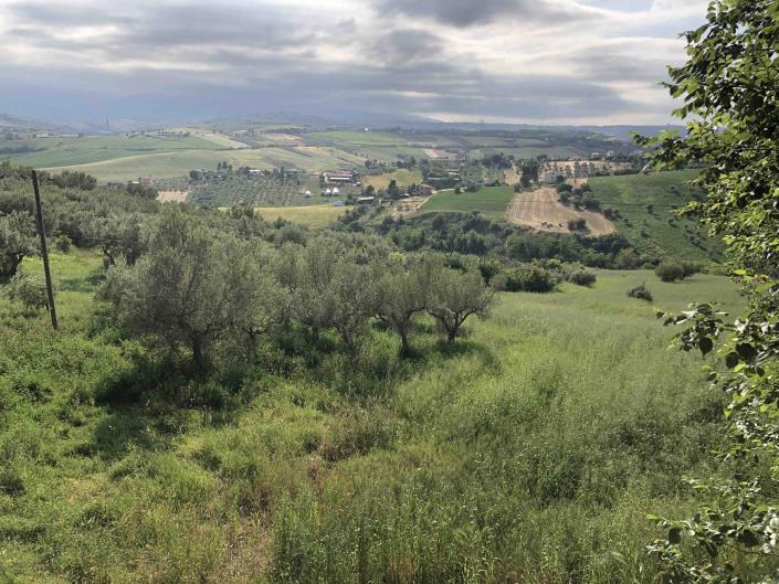 Image No.4-1 Bed Farmhouse for sale