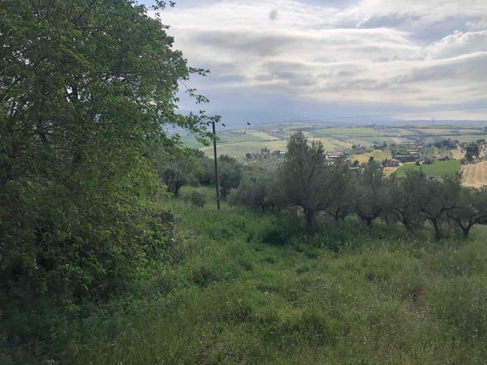 Image No.52-1 Bed Farmhouse for sale