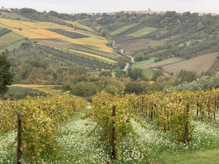 Image No.55-1 Bed Farmhouse for sale