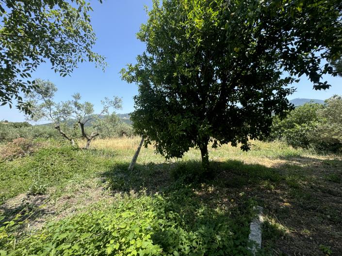 Image No.39-4 Bed House for sale