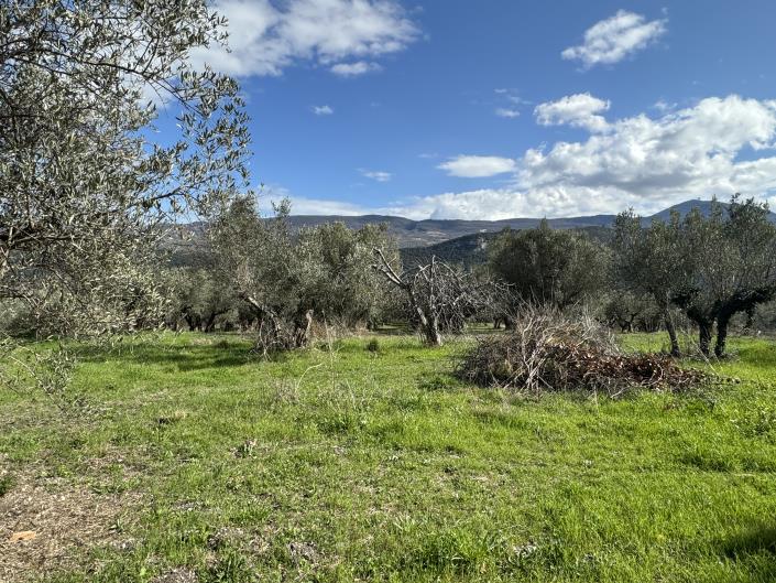 Image No.29-4 Bed House for sale