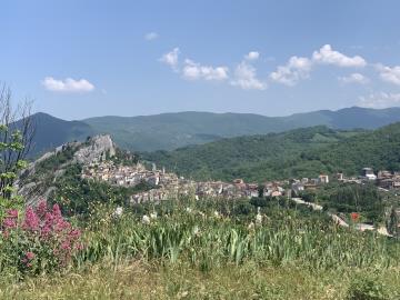 IMG_7285