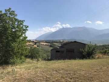 IMG_8428