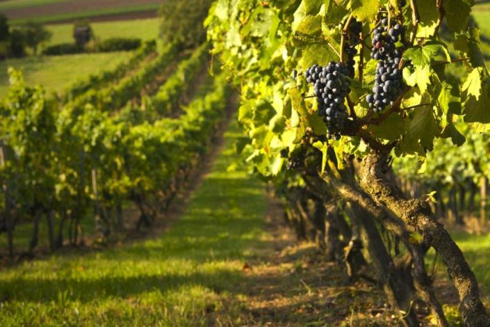 Image No.21-Villa / Détaché de 1 chambre à vendre à Lanciano