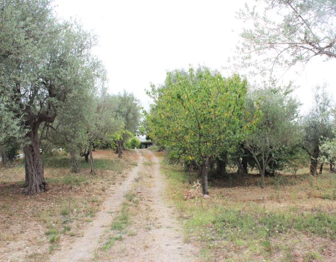 Image No.5-Villa / Détaché de 1 chambre à vendre à Lanciano