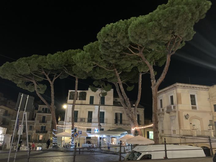 Image No.33-Villa / Détaché de 1 chambre à vendre à Lanciano