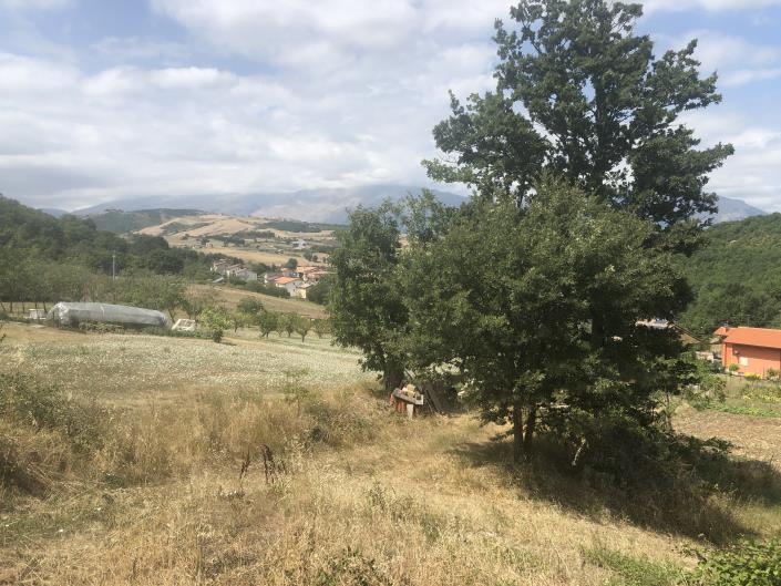 Image No.50-Propriété de pays à vendre à Torricella Peligna