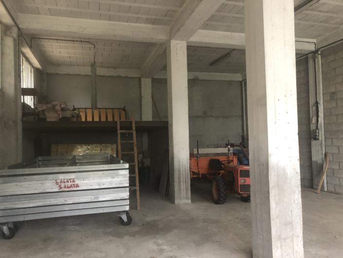 Image No.6-Propriété de pays à vendre à Torricella Peligna