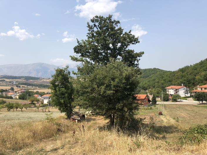 Image No.48-Propriété de pays à vendre à Torricella Peligna