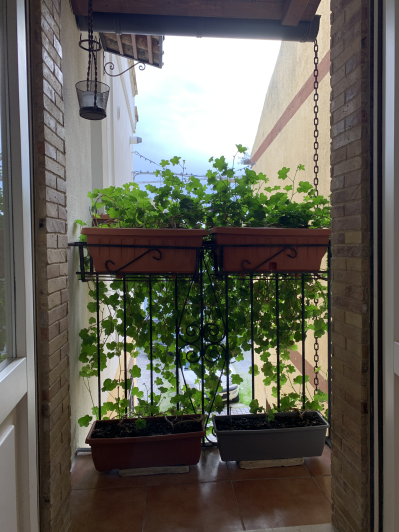 Image No.16-3 Bed Townhouse for sale