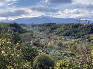 IMG_3005