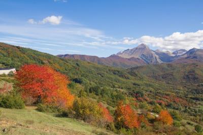 shutterstock_362204408