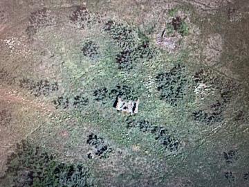IMG-6481