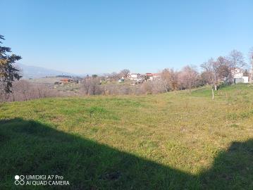 IMG_20220211_111013_590